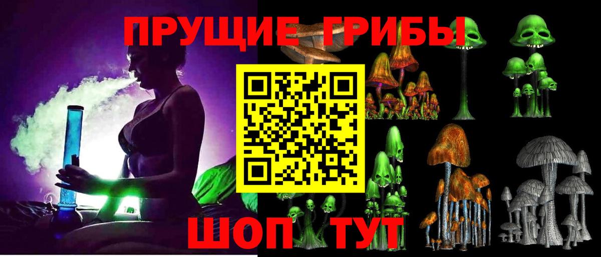 APVP Полысаево