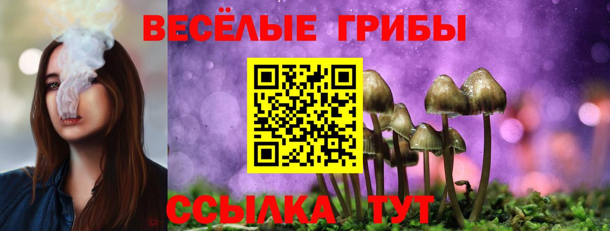 Галлюциногенные грибы GOLDEN TEACHER Полысаево